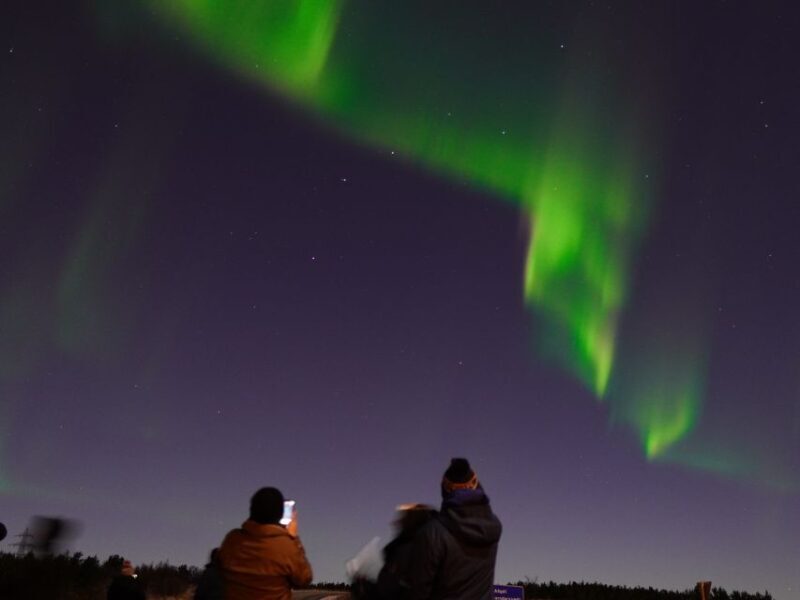 Reykjavik: Aurora Minibus w/ Pro Photos & Free Retry - FAQ