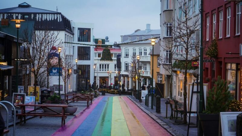 Reykjavík & Blue Lagoon Private Tour - Practical Details and What to Expect