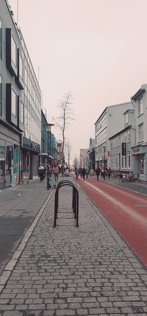 Reykjavik City private tour: Hallgrímskirkja, Perlan & More! - Starting Point and Logistics