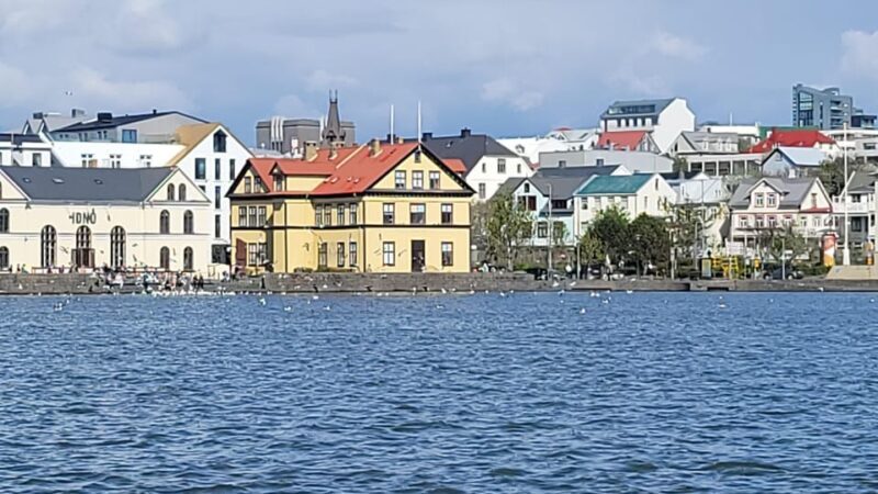 Reykjavik City private tour: Hallgrímskirkja, Perlan & More! - Rainbow Street and City Passages