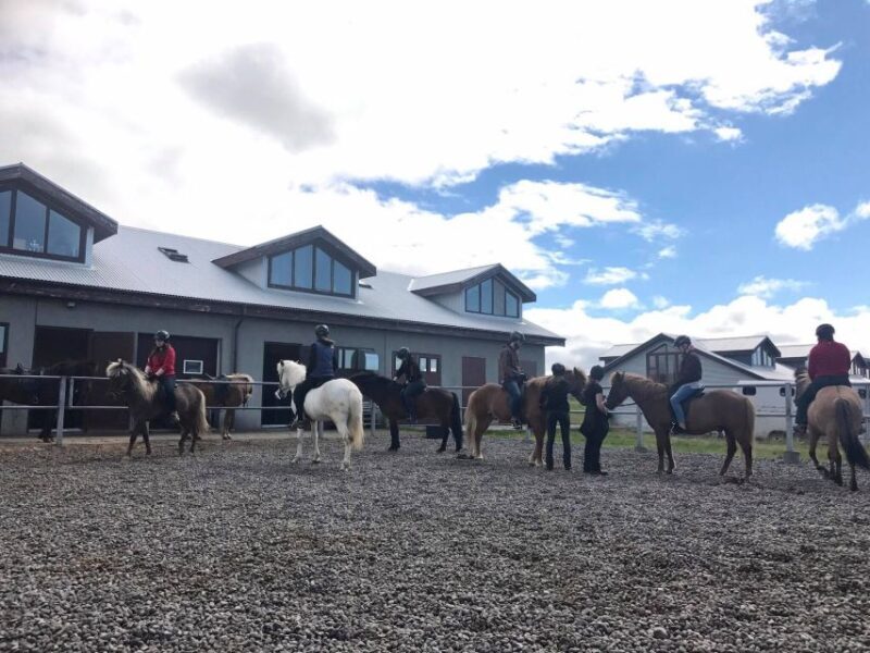 Reykjavik: Evening Sleipnir Horse Riding Tour with Pickup - Authenticity and Reviews