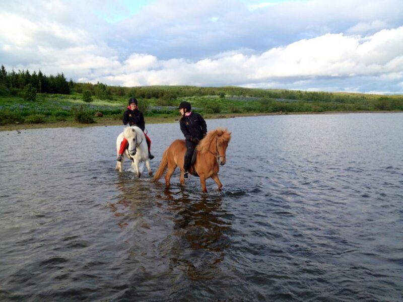 Reykjavik: Evening Sleipnir Horse Riding Tour with Pickup - The Sum Up