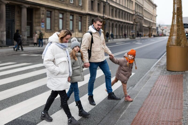 Reykjavik: Express Walk With a Local in 60 Minutes - Accessibility Considerations