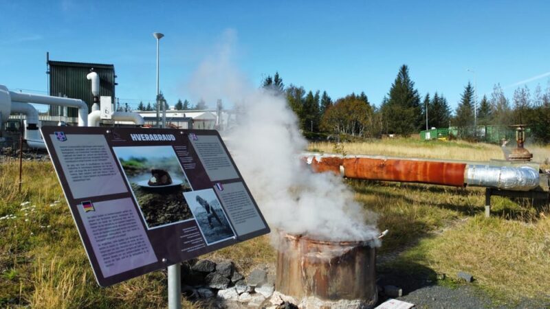 Reykjavík: Golden Circle, 2 Geysers & Geothermal Bakery Tour - Who Will Love This Tour