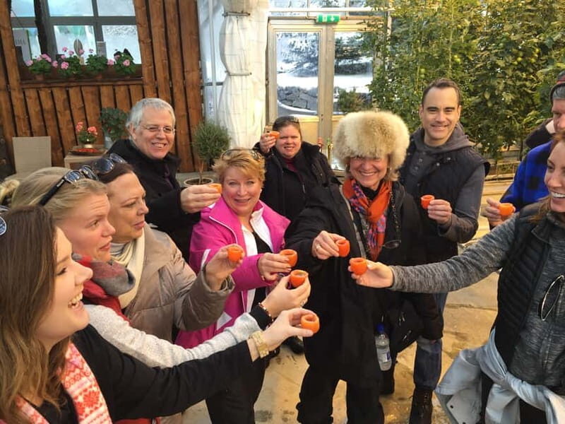 Reykjavik: Golden Circle, Fridheimar, & Sky Lagoon Day Trip - Key Points