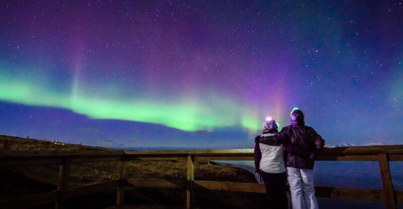 Reykjavík: Group Northern Lights Tour with Pics & Hot Cocoa - An Honest Look at the Reykjavík Northern Lights Tour