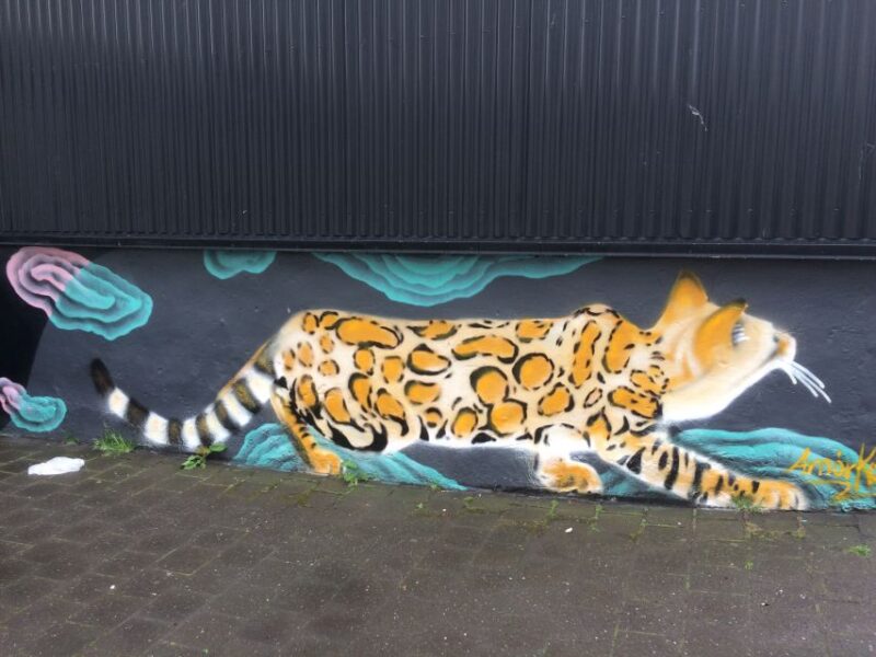 Reykjavik: Guided City Walking Tour - Customer Reviews and Feedback