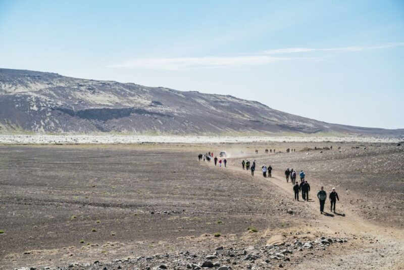 Reykjavik: Guided Tour to Volcano and Reykjanes Geopark - Final Thoughts