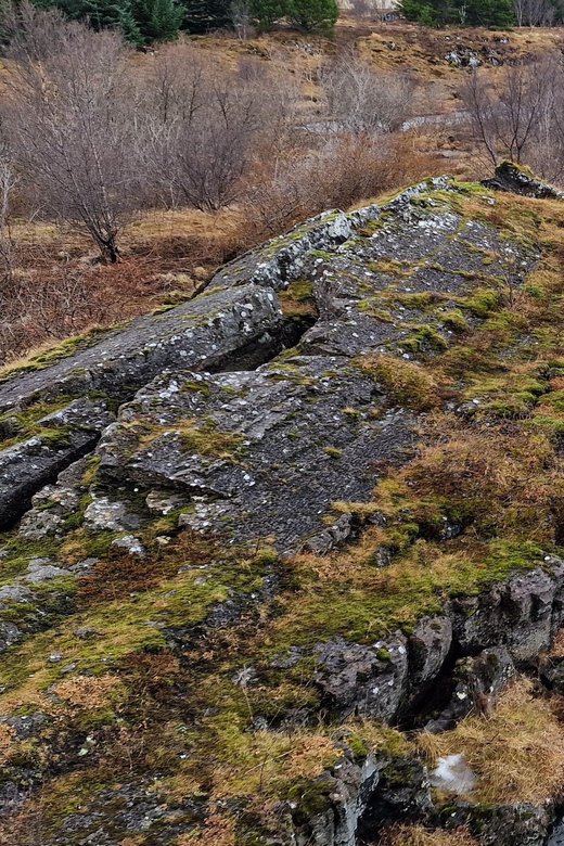 Reykjavik Hidden Gems - Private - Half Day Tour - With Local - Key Attractions