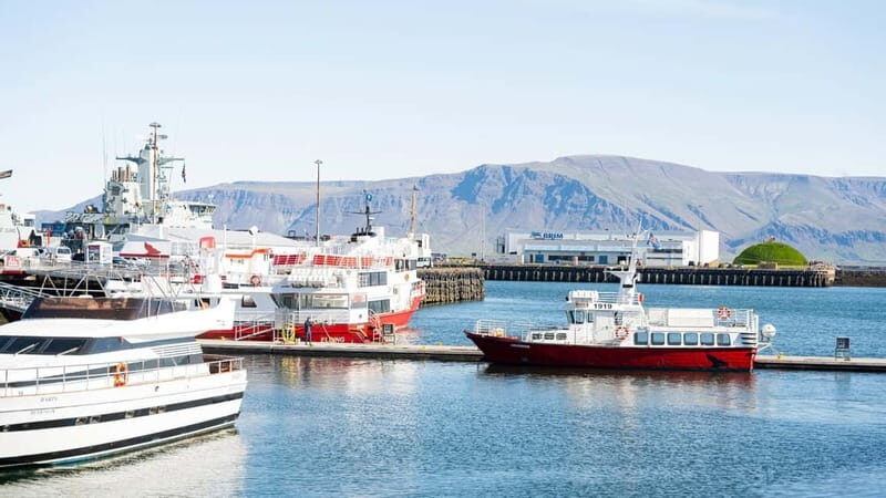 Reykjavik: Maritime History Walking Tour - Who Will Benefit Most?