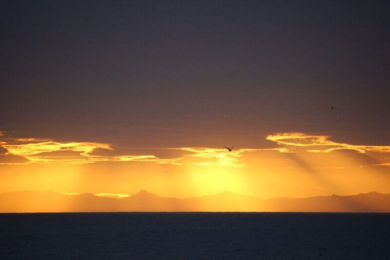 Reykjavík: Midnight Sun Whale Watching Cruise - FAQ