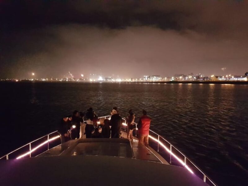 Reykjavík: New Years Eve Northern Lights Yacht Cruise - Participant Age Requirements