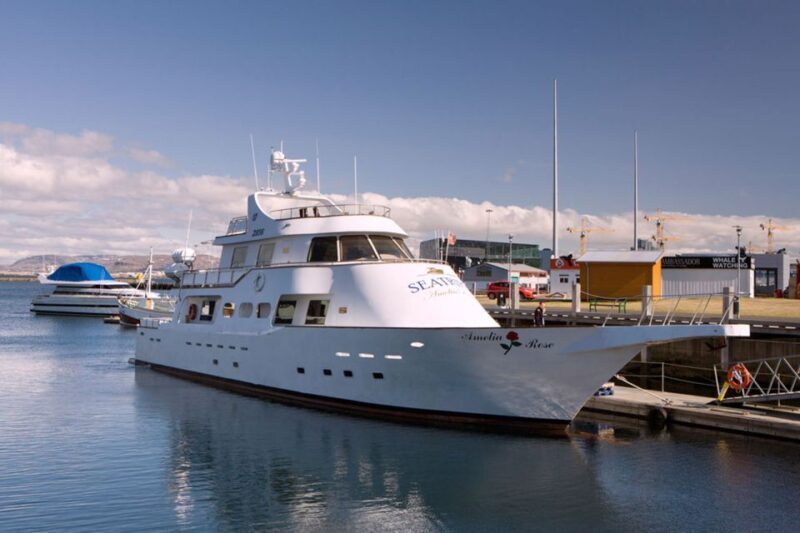 Reykjavik: New Years Fireworks Midnight Cruise - Who Should Consider This Tour?