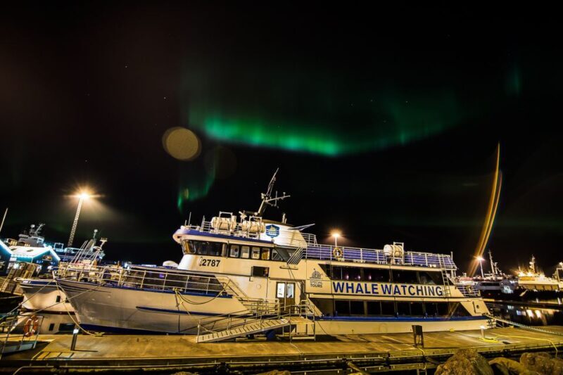 Reykjavik: Northern Lights Guided Boat Tour - Reykjavik: Northern Lights Guided Boat Tour — A Detailed Look