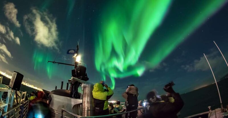 Reykjavik: Northern Lights Guided Boat Tour - What to Expect from the Reykjavik Northern Lights Boat Tour