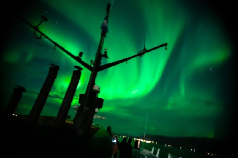 Reykjavik: Northern Lights Guided Boat Tour with Photos - What Past Travelers Say
