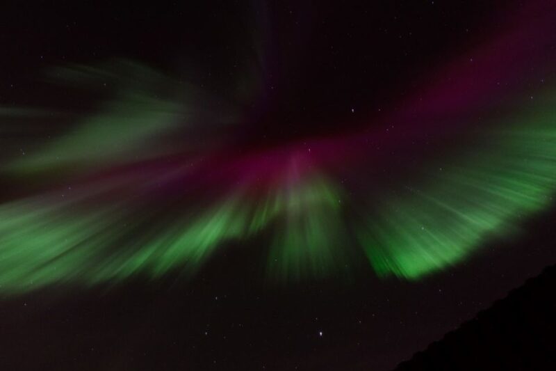 Reykjavik: Northern Lights Motor Yacht Cruise - Customer Ratings and Reviews