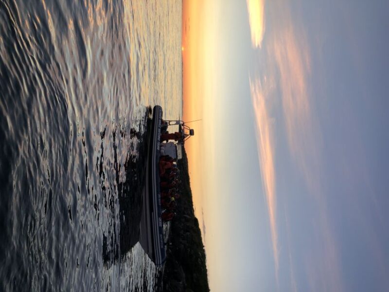 Reykjavik: Premium Whale and Puffin Watching Evening Tour - Customer Feedback