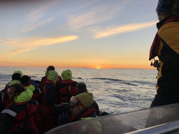 Reykjavik: Premium Whale and Puffin Watching Evening Tour - Frequently Asked Questions