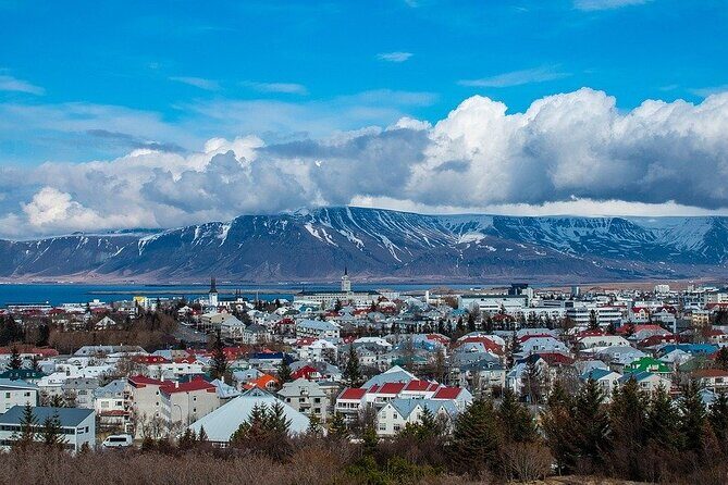Reykjavik Private Walking Tour With A Professional Guide - What to Expect During Your Tour