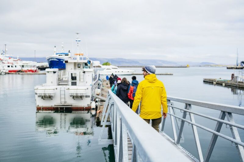 Reykjavik: Puffin Watching Boat Tour - Final Thoughts: Is This Tour Worth It?