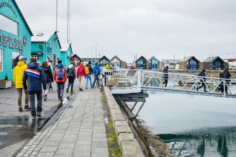 Reykjavik: Puffin Watching Boat Tour - FAQ