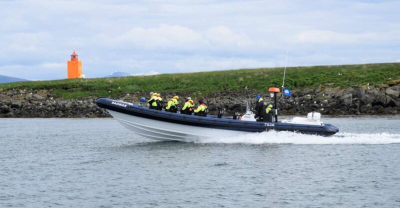 Reykjavik: Puffin Watching Tour by RIB Speedboat - Key Points