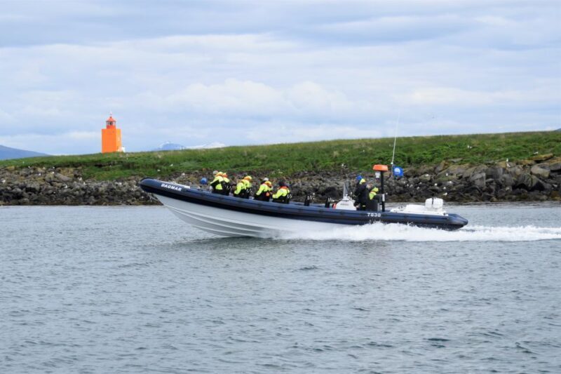 Reykjavik: Puffin Watching Tour by RIB Speedboat - A Practical Look at the Puffin Watching Tour