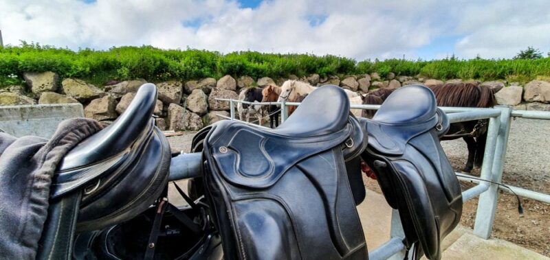 Reykjavik: Red Lava Horse Riding Tour - Booking and Cancellation Policy