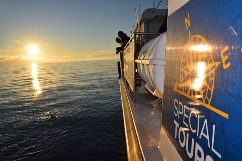 Reykjavik: Sea Fishing Boat Tour & BBQ with the Day's Catch - Reykjavik: Sea Fishing Boat Tour & BBQ with the Days Catch — A Practical Guide