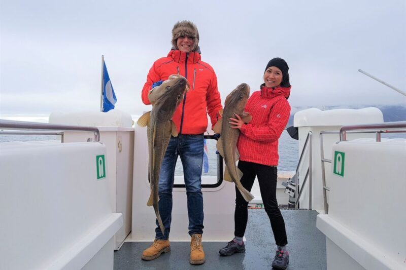 Reykjavik: Sea Fishing Boat Tour & BBQ with the Day's Catch - Who Will Love This Tour?