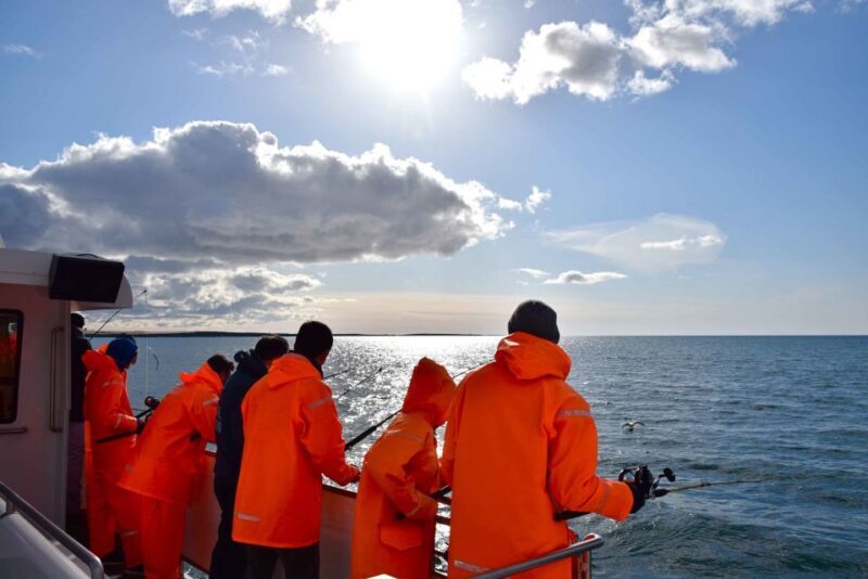 Reykjavik: Sea Fishing Boat Tour & BBQ with the Day's Catch - FAQ