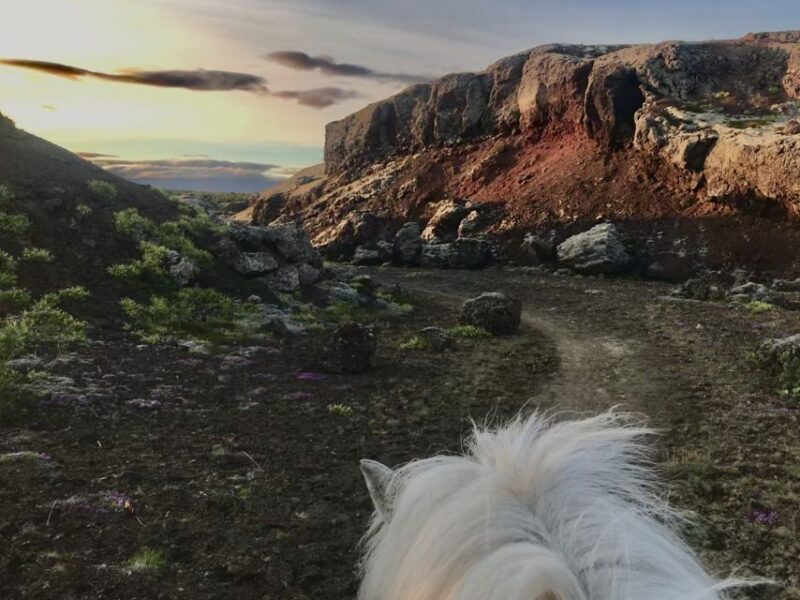 Reykjavik: Small-Group Horse Volcano Riding Tour with Pickup - An In-Depth Look at the Icelandic Horse Volcano Ride