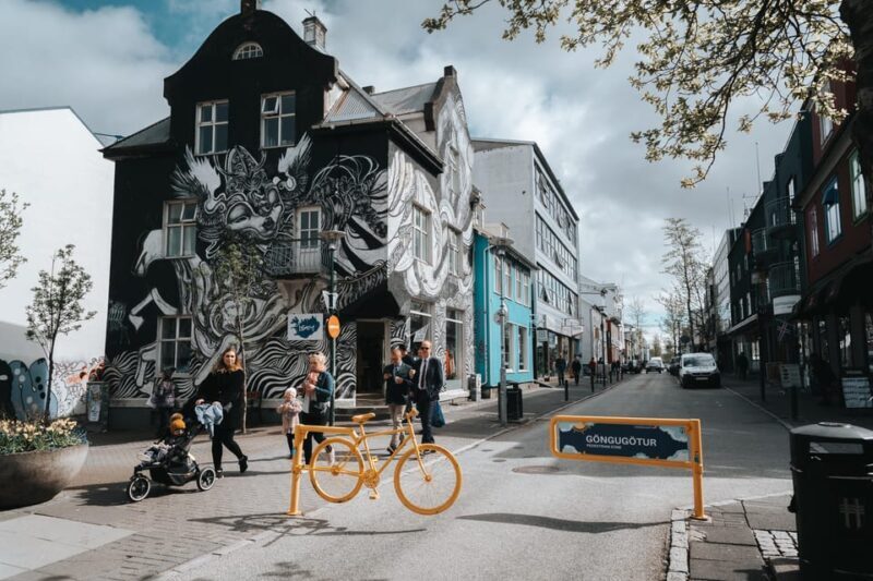 Reykjavik Street Art & Photo Friendly Walking Tour - Practical Details and Value