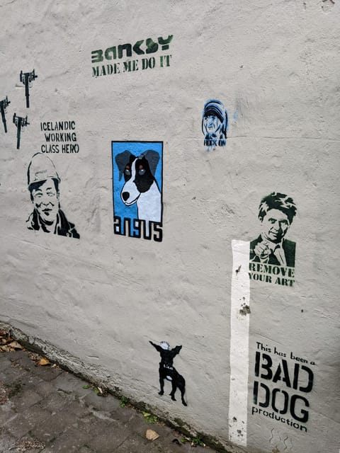 Reykjavik Street Art & Photo Friendly Walking Tour - Why This Tour Is Worth It