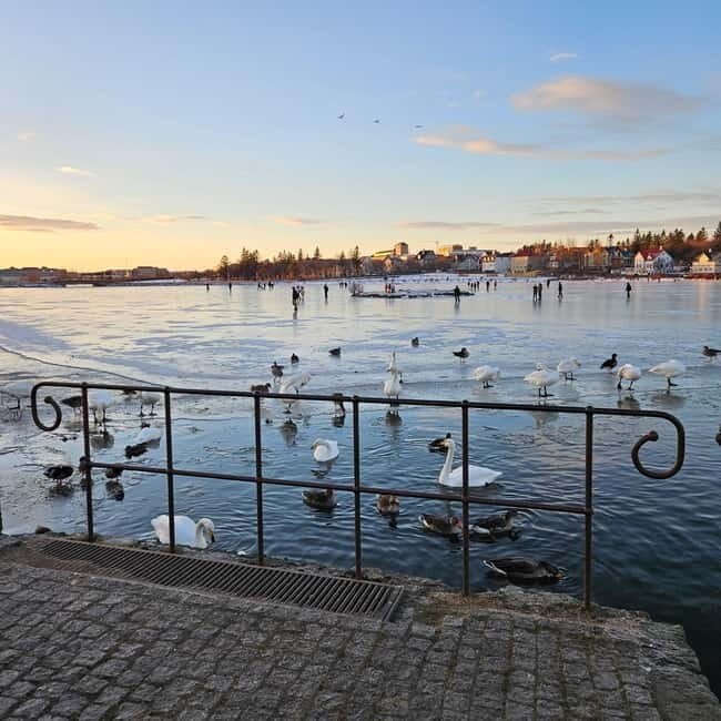 Reykjavik: Street Food Walking Tour - Authenticity and Experience