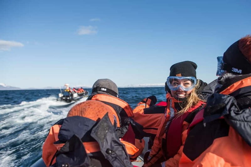 Reykjavik: Whale and Puffin Watching RIB Boat Tour - Why This Tour Stands Out