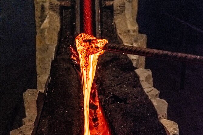 Reykjavik Whale Watching and Lava Show - Who Will Love This Tour?