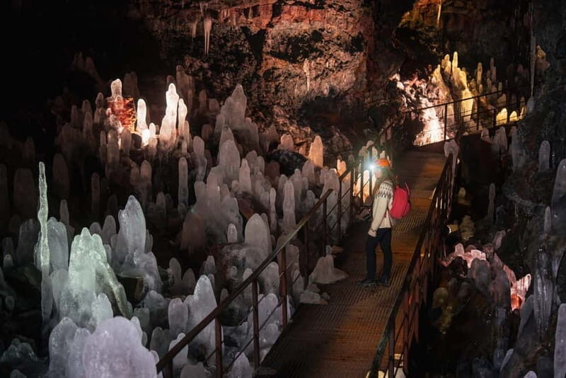 Reykjavik: Whale Watching and Lava Tunnel Combo Tour - Key Points