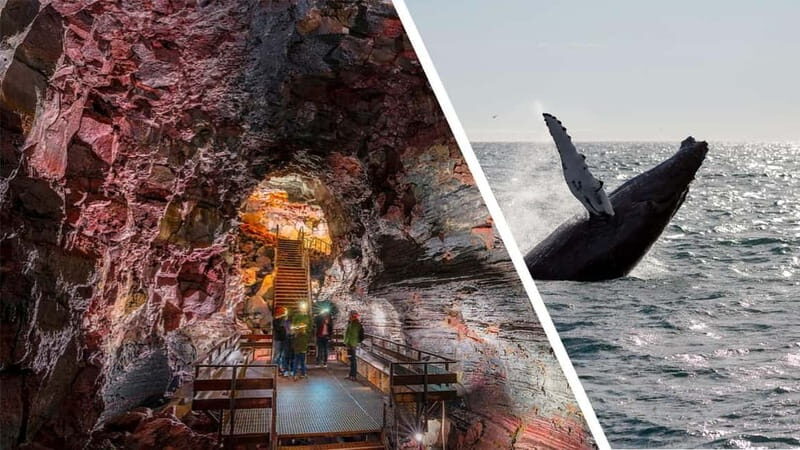 Reykjavik: Whale Watching and Lava Tunnel Combo Tour - A Closer Look at the Tour Experience