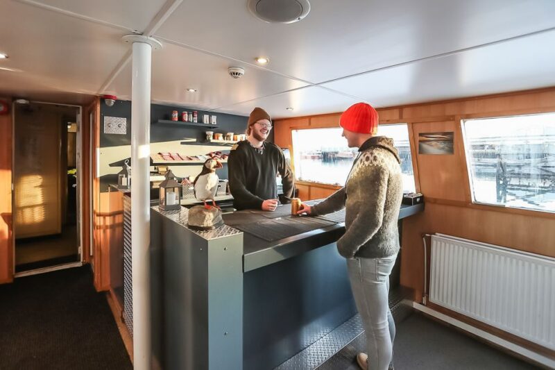 Reykjavík: Whale Watching and Marine Life Cruise - Booking and Pricing Details