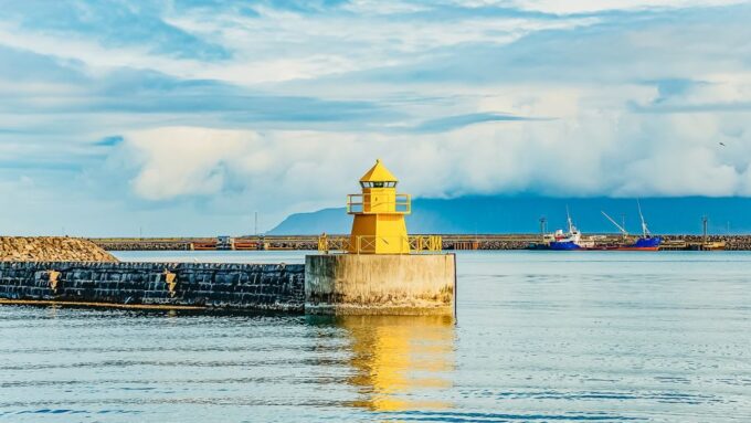 Reykjavík: Whale Watching and Marine Life Cruise - Best Time for Whale Watching