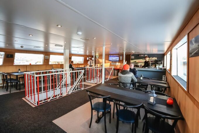 Reykjavík: Whale Watching and Marine Life Cruise - Frequently Asked Questions