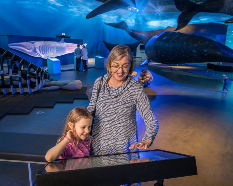 Reykjavik: Whale Watching Tour, Whales of Iceland Exhibition - Practical Details: What You Need to Know