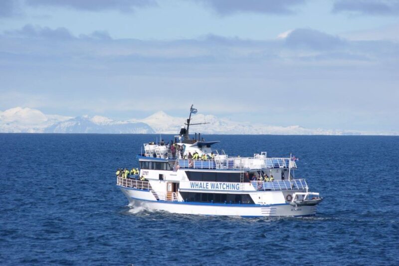 Reykjavik: Whale Watching Tour, Whales of Iceland Exhibition - Final Thoughts: Who Is This Tour Perfect For?