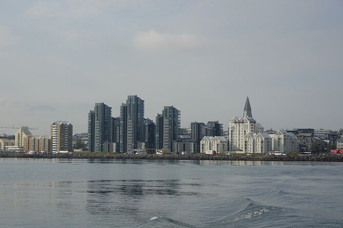 Reykjaviks Finest Catch: Guided Sea Angling Tour for All Levels - Onboard Dining and Refreshments