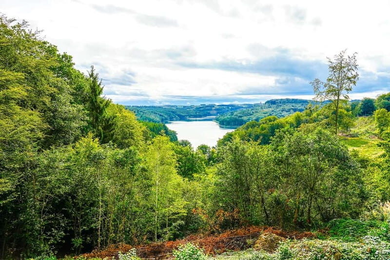 Rhine Tour: Guided trike tour through the Bergisches Land | Thursday, July 24, 2025 - The Sum Up