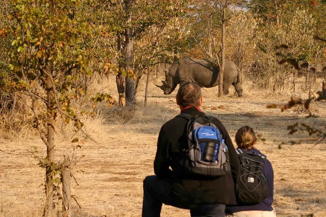 Rhino Walking Safari at Mosi-oa-Tunya National Park - Tips for a Great Experience