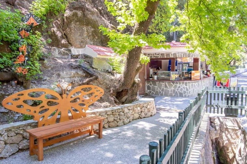 Rhodes: Butterfly Valley and Filerimos Hill Bus Trip - An In-Depth Look at the Tour