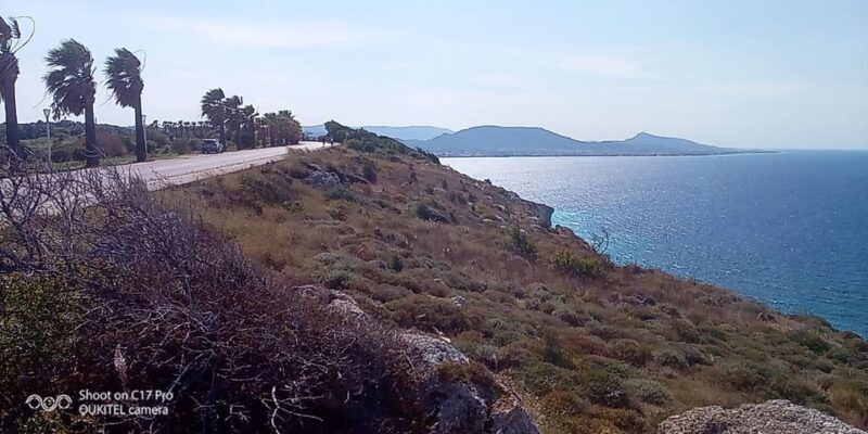 Rhodes: Island Highlights and Wine Tasting Tour - Who Should Sign Up?